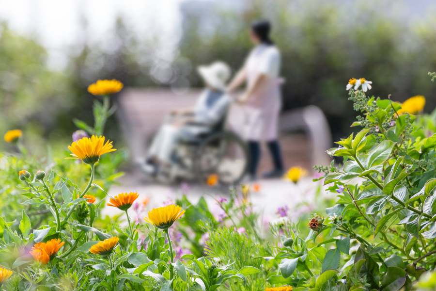 Elderly wheelchairs and care helpers take a walk in a flowered park