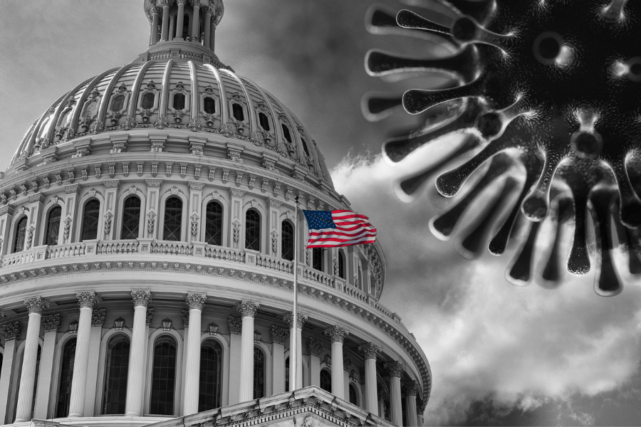 A capitol building and a large virus in the sky in black and white with a colored in American flag flying.