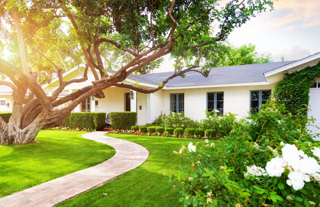 Beautiful white color single family home in Phoenix, Arizona USA with big green grass yard, large tree and roses