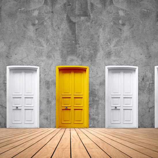 CapGrow Choice of Services for Individuals With IDD