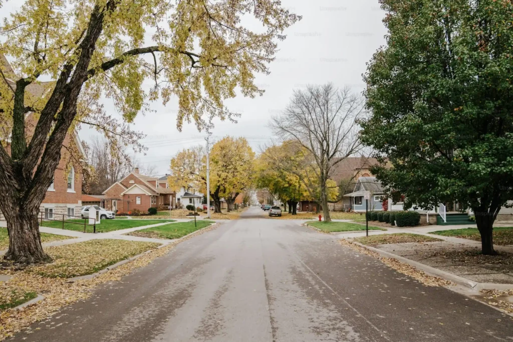 residential neighborhood street during the fall season