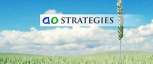 ao Wheat